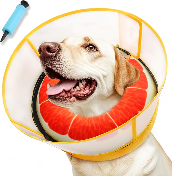Upgraded Inflatable Dog Cone Collar with Transparent Anti-Licking Shield, Adjustable Elizabethan Collar for Medium Large Dogs, 2-in-1 Design with Detachable Shield and Soft Padding (M+, Grapefruit)