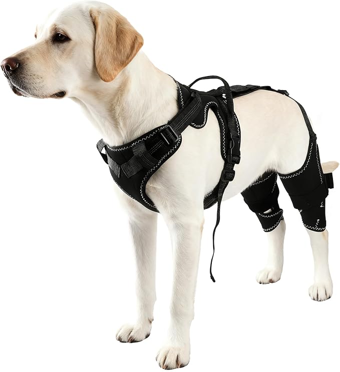 Dog Hip & Leg Support Harness for Mobility Assistance, Adjustable Rear Leg Brace with Lift Handle for Injured or Senior Dogs, Joint Stabilizing Hind Leg Support for Walking, Recovery (M)