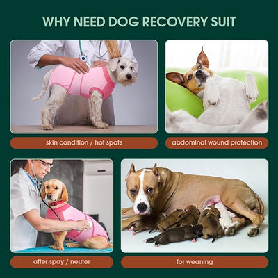 Kuoser Recovery Suit for Dogs, Soft Dog Spay Suit for Female Surgery Recovery, Breathable Dog Neuter Recovery Suit Male, Anti Licking Dog Onesie for Abdominal Wounds Cone Alternatives, Pink S