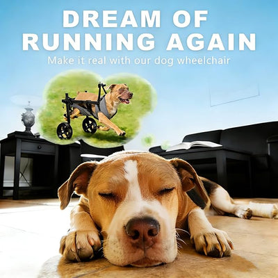 Dog Wheelchair for Back Legs, Adjustable Height/Length/Width, Sturdy Wheelchair with All-Terrain Shock-Absorbing Wheels, Mobility Support for Injured or Disabled Small & Medium Dogs & Cats