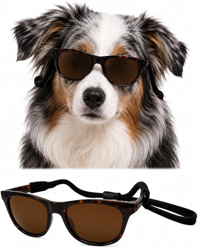 G006 Dog Pet Retro 80s Costume Sunglasses for Small Breed (2-Pack Black+Tortoise Brown)