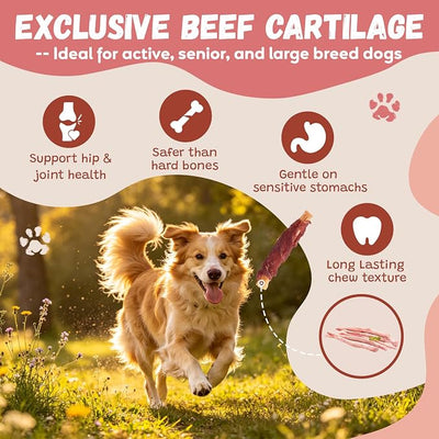 Pawmate Duck Wrapped Beef Cartilage Dog Treats, Long Lasting High Protein with Calcium Supplement Dog Chews, Rawhide Free Duck Dog Training Treats Snacks for Medium and Large Dogs, 12 Counts, 10.6 oz