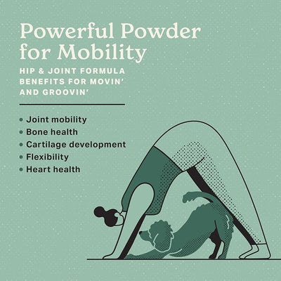 The Missing Link Hip & Joint + Probiotics Supplement 1lb Bag - Superfood Powder for Dog Cartilage & Bone Health, Joint Mobility & Flexibility