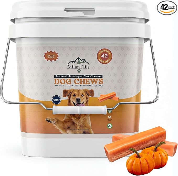 Premium Natural Fruit-Flavored Himalayan Yak Chew for Dogs, All-Natural, Long-Lasting (Large 42 Pack Bucket, Pumpkin)