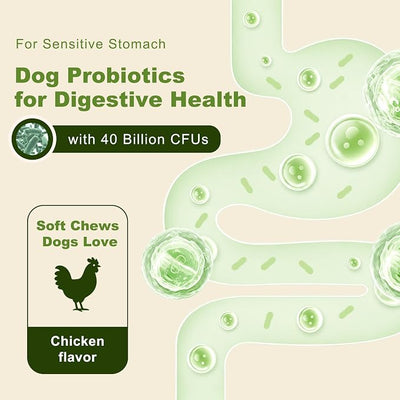 Probiotics for Dogs - Dog Probiotics for Digestive Health - 40 Billion CFU Dog Probiotic FOS Enzymes Pumpkin - Daily Gut Health for Sensitive Stomach Diarrhea Relief, Chicken Flavor, 120Ct