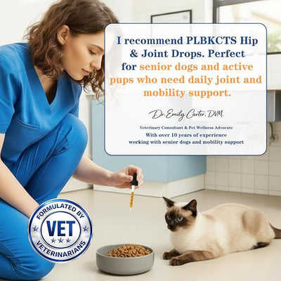 16-In-1 Glucosamine for Dogs & Cats Liquid Hip & Joint Supplement Type II Collagen Drops with Chondroitin+MSM+Hyaluronic Acid for Pain Relief Helps Mobility All Breeds Made in US Chicken Flavor 120ml