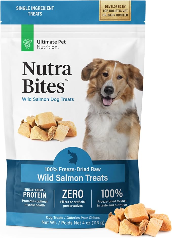Nutra Bites Freeze Dried Raw Single Ingredient Training Treats Food Topper for Dogs, 4 Ounces, Salmon