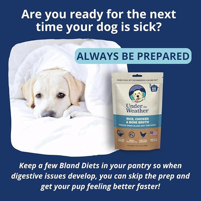 Under the Weather Easy to Digest Bland Diet for Sick Dogs - Always Be Ready - Contains Electrolytes - Gluten Free, All Natural, Freeze Dried 100% Human Grade Meats - 6 Pack Chicken, Rice & Bone Broth