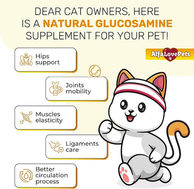 Liquid Glucosamine for Cats with Chondroitin – Taurine for Cats Works for Hips, Ligaments, Muscles, Circulation Maintenance – Cat Supplements with Natural Chicken Flavor 2-oz Bottle