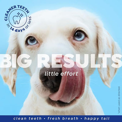 Naturél Promise Fresh Dental Hip and Joint Supplement & Dental Water Additive for Dogs, 18oz Bottle