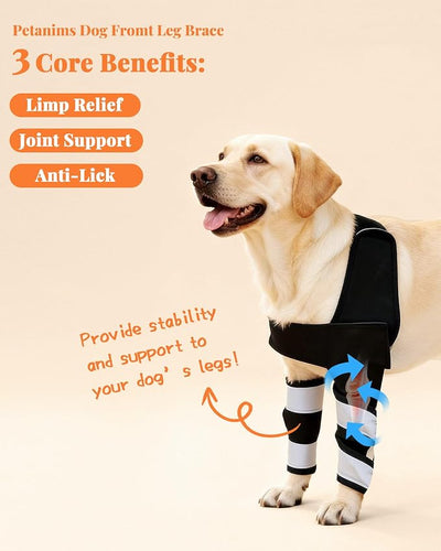 Petanims Dog Front Leg Brace - Knee/Carpal/Wrist Support for Dogs, Adjustable Dog Elbow Brace with Shoulder Support, Reflective Dog Elbow Protector for Pain Relief & Better Recovery, Large