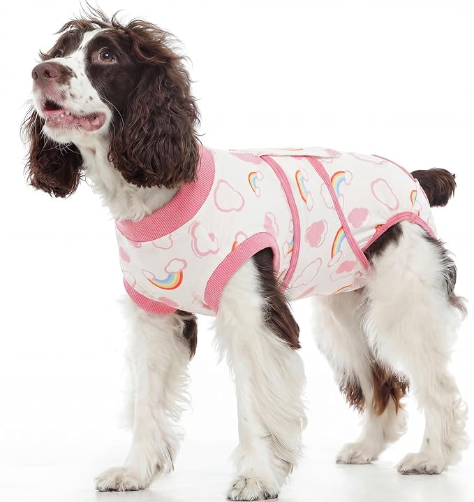 Dog Surgery Recovery Suit, Soft Breathable Dog Recovery Suit for Female Spay Male Nueuter, Anti Licking Puppy Onesie Pet Surgical Suit for Dogs Abdominal Wounds Skin Disease, Rainbow M