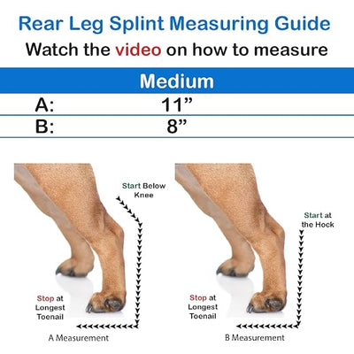 Standard Rear Splint for Dogs with Injuries, Arthritis, Fractures or Sprains, Durable & Lightweight Rear Splints for Rehability Treatment & Post-Surgery Protection for Pets - M
