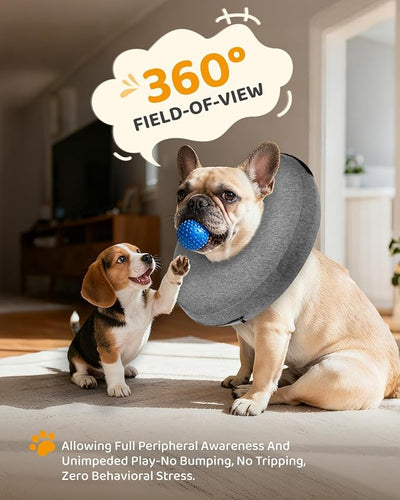 MIDOG Inflatable Dog Cone, Soft Donut Recovery Collar Alternative After Surgery to Help Prevent Licking, Comfy E Collar with Neck Pillow Design, Grey, M+