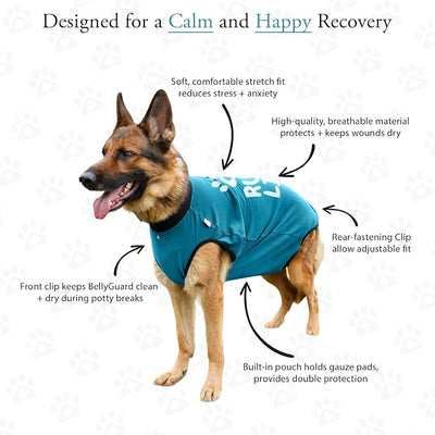 BellyGuard Dog Surgery Recovery Suit, Post-Op Dog Recovery Suit for Female Spay & Male Neuter, Comfy Onesie for Pets, Surgical Body Cover for Canine Healing Support
