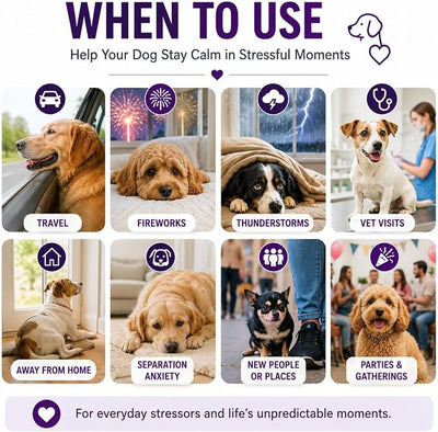 Dog Calming Pheromone Spray for Anxiety Relief, Helps Reduce Barking & Stress, Calming Support for Travel, Fireworks, Thunderstorms, Vet Visits & Separation Anxiety, 6.8 oz | Dog Calming Pheromone Spray