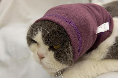 Cat Snood Cover Noise Cancelling Ear Wrap Neck Cat Head Cover Ear Wrap for Baths Pail Lilac S