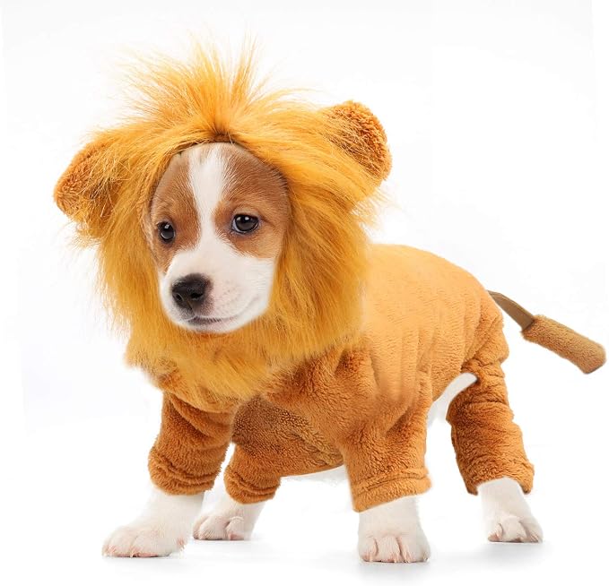 Rypet Dog Lion Costume Pet Clothes for Halloween Party Simulation Lion Pets Outfits Cosplay Dress up Clothes Pet Lions Hoodie Cat Costume for Party