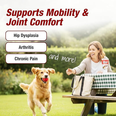 Pet Pain Away All Natural Dog Arthritis Pain Relief, Cat Pain Relief, Dog Pain Relief Anti Inflammatory, Dog Joint Pain Relief, Homeopathic Pain Reliever for Large and Small Dogs and Cats (2 oz)