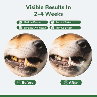 Dog Teeth Cleaning Powder, Dental Powder for Dogs Teeth Tartar Remove & Plaque Off, Fresh Breath for Dogs with Natural Plants Blend and Postbiotics, 80g