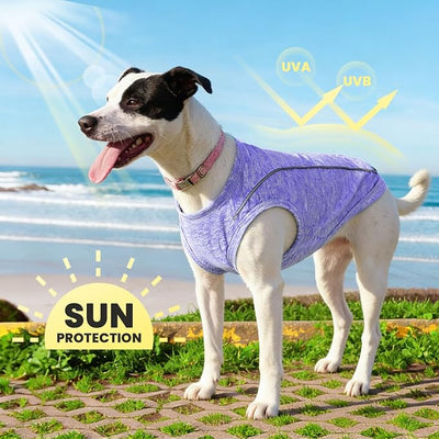 PETCARE Sun Protection Dog Shirts for Small Dogs Quick Dry Soft Stretchy Dog T-Shirts with Reflective Label Tank Top Sleeveless Vest Pet Clothes, Athletic Fabric, Purple, XS (Chest 13" Length 9.8")