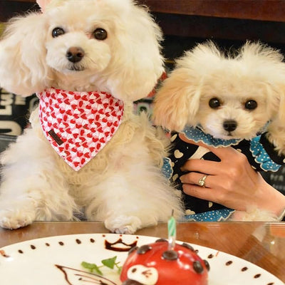Valentines Dog Bandana - Soft Couple Heart Dog Neck Scarf, Cute Pet Bib for Puppy Kitten, Valentine Photo Dogs Cats Prop for Daily Use Parties & Pet Photography S