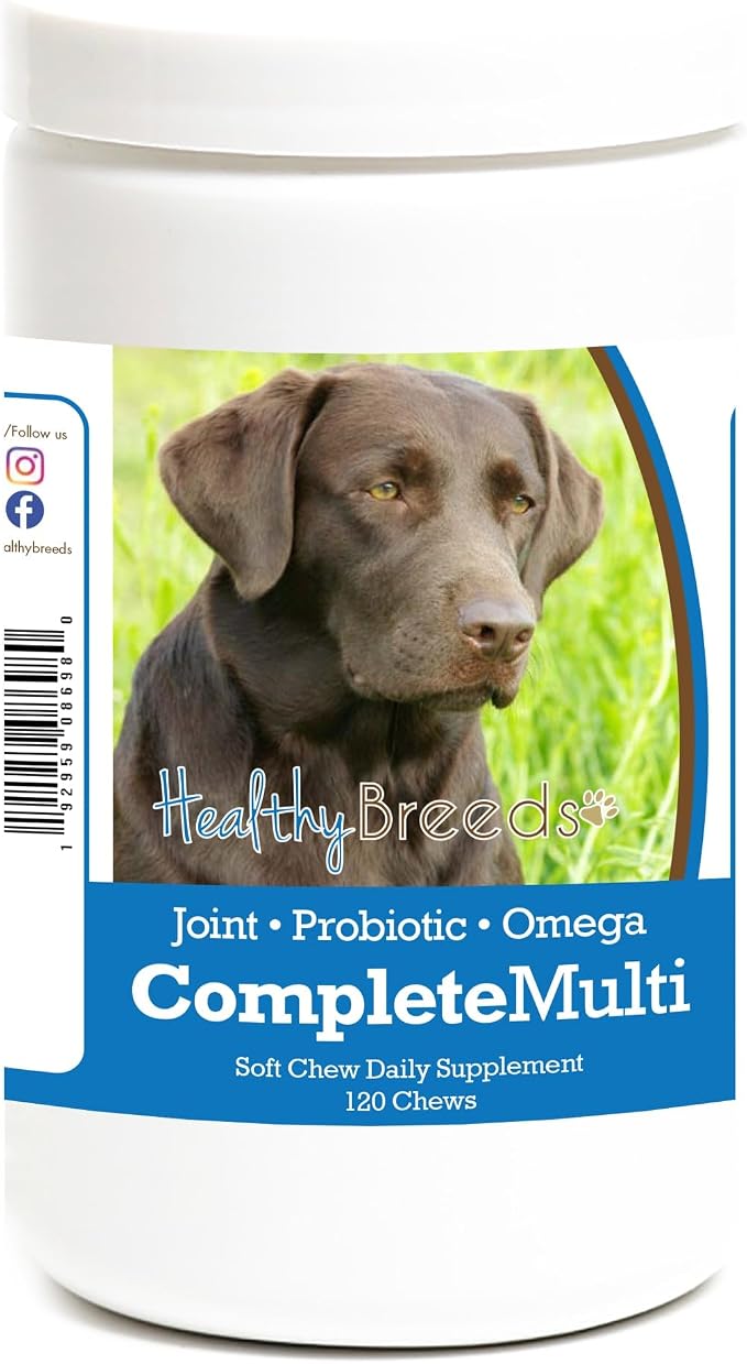 Labrador Retriever All in One Multivitamin Soft Chew 120 Count