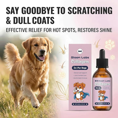 Bloom Collagen for Dogs,Bloom Triple Collagen for Dogs, Support for Skin, Coat, HIPS & Gut Health,2 fl.oz (3pcs)