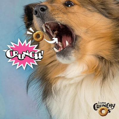 Fromm Crunchy Os Slammon' Smoked Salmon Dog Treats - Premium Crunchy Dog Treats - Salmon Recipe - 26 oz