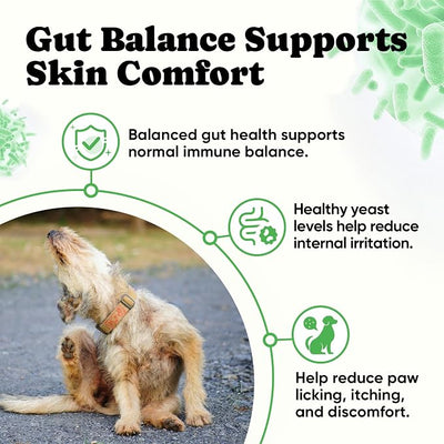 Probiotics for Dogs – Helps Digestion, Loose Stools, Gas & Sensitive Stomachs, Probiotics for Itchy Skin & Dog Yeast Infection, Immune & Fresher Breath with 4 Prebiotics & 5 Digestive Enzymes – 180 ct