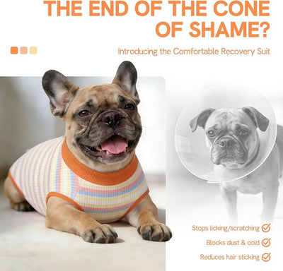 SAWMONG Recovery Suit for Dogs Female Male, Cotton Breathable Dog Onesie After Surgery Spay Neuter, Professional Pet Surgical Suit, Substitute E-Collar Cone (Orange Stripes, XL)