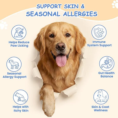 Dog Allergy Chews, Itchy Skin & Paw Licking Support, Probiotics for Dogs, Immune & Gut Health, Seasonal Allergy Formula, Skin & Coat Health, Chicken Flavor Soft Chews, 200 Ct, BlueChampagne