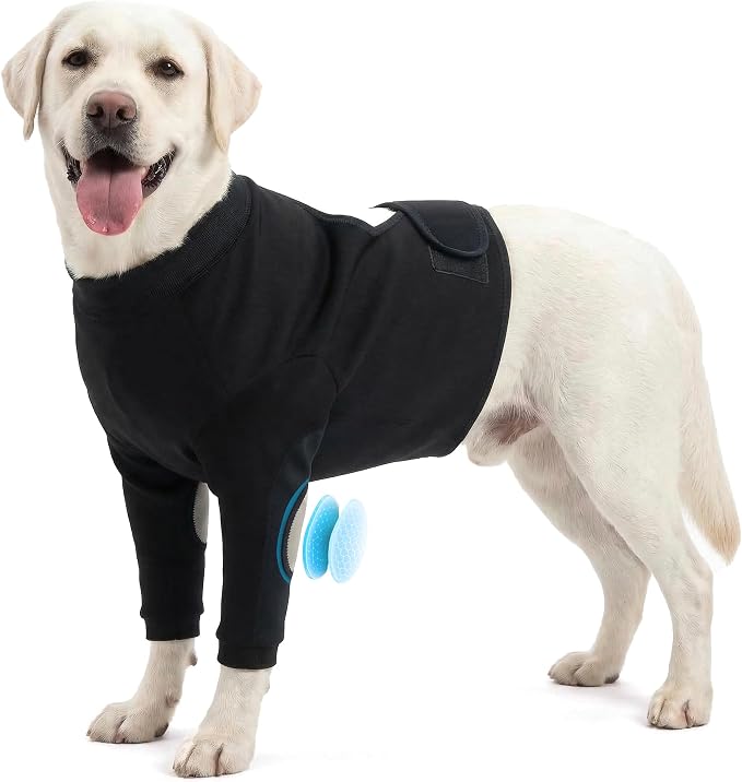 Dog Recovery Suit for Front Legs, Dog Elbow Protector with Padded Elbow Coverage to Stop Licking, Front Leg Sleeve for Hot Spots, Wounds, Hygroma, Calluses & Post-Surgery Care,Black,2XL