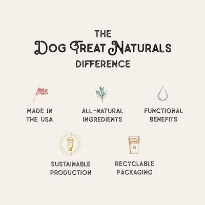 Dog Treat Naturals Chickpea & Mint Dental Sticks 10oz, 20ct | Dog Dental Chew Treats for Small, Medium, Large Dogs | Freshen Breath, Fight Plaque-Tartar | Natural Teeth Cleaning Treats | USA Made