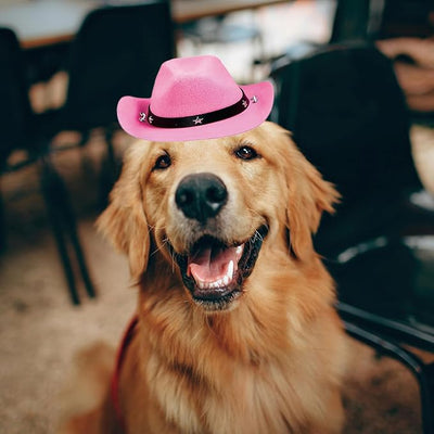 Pet Dog Costume Cowboy Hat Cosplay Cap Puppy Pet Dog Cat Holiday Pet Party Decoration (Pink)
