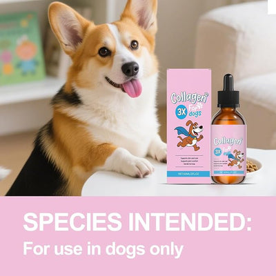 Bloom Collagen for Dogs, Bloom Triple Collagen for Dogs, Gentle Formula, Supports Skin and Coat, Joint Comfort, 60ml (1pc)