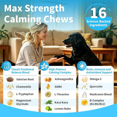 Calming Chews for Dogs - Advanced Calming Treats for Dogs Anxiety, Stress, Separation, & Thunder, Relaxation with Ashwagandha & L-Theanine, Non-Drowsy Alternative to Melatonin, Chicken Flavor, 45Ct