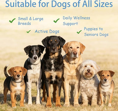 Doggy Supps Taurine, Taurine Powder for Dogs, Promotes Energy, Vitality & Shiny Coat, Easy-to-Serve Formula, 200 Grams