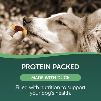 HEALTHFULS Duck & Sweet Potato Treats, 16 oz - Healthy, Protein Rich Treats for Dogs - Dog Chews