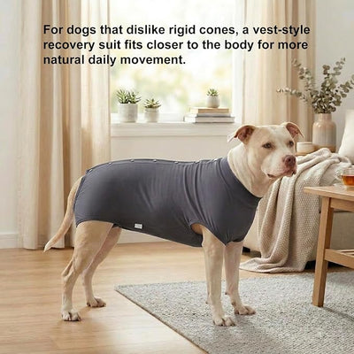 LovinPet Dog Recovery Suit, Snap-Back Post-Op Onesie for Large Dogs, Post-Spay Bodysuit for Female Dogs with Cushioned Belly Panel, Grey, L