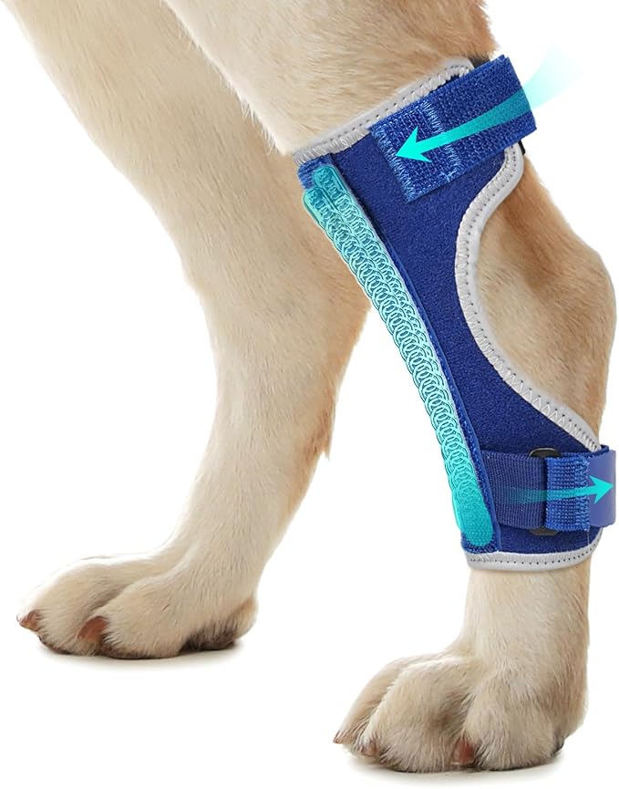 Dog Leg Braces for Back & Front Legs- Dog Hock & Ankle Joint Brace for Weak Back Legs with 2 Metal Strips, Reflective Trim for Sprain, Injury, Arthritis, Wound Recovery,Blue,L