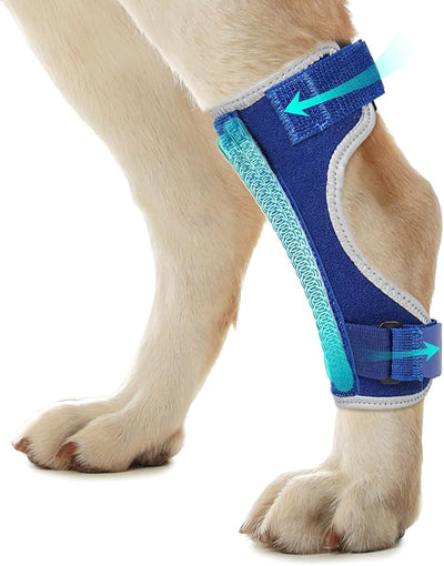 Dog Leg Braces for Back & Front Legs- Dog Hock & Ankle Joint Brace for Weak Back Legs with 2 Metal Strips, Reflective Trim for Sprain, Injury, Arthritis, Wound Recovery,Blue,M