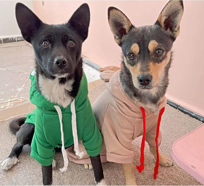 Dog Hoodie Basic Sweater Coat Cute - Frog Shape Warm Jacket Pet Cold Weather Clothes Outfit Outerwear for Cats Puppy Small Medium Dogs（XL）