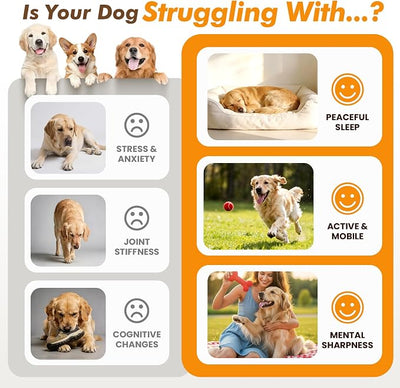 200 Ct 3-in-1 Calming Joint Cognition Soft Chews for Dogs Calm Treats Supplements for Anxiety Relief Hip and Joint Support Brain Health with Fish Oil Ashwagandha Chamomile Glucosamine Chicken Flavor
