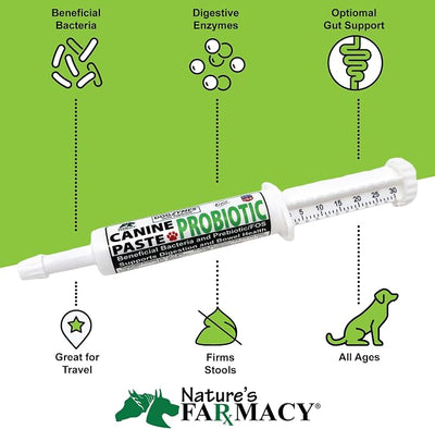 Dogzymes Canine Probiotic Paste Beneficial Bacteria-Enzyme 2.3 Billion CFU/gm Saccharomyces boulardii Organic Dried Honey Powder (15 Gram)