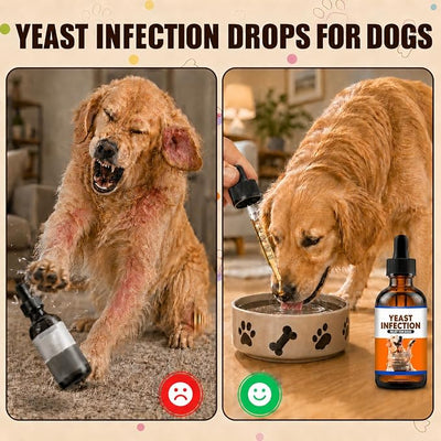 Yeast Infection Treatment for Dogs | Dog Ear Yeast Infection Treatment, Soothes Skin, Relieves Itching, Reduces Redness and Swelling, Eliminates Odors, 60ml Bacon Flavor