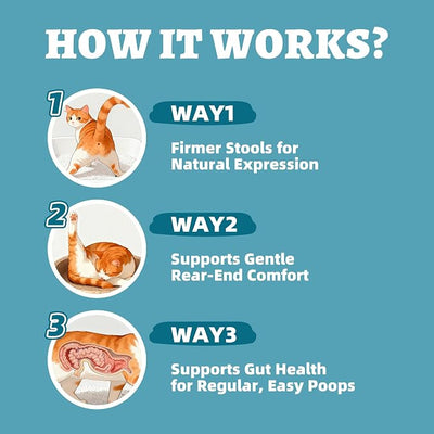 Wellix 7.05 oz Cat & Dog Anal Gland Treatment Powder with Psyllium Husk, Natural Pumpkin Cranberry Formula Dog Analgland Treatment, for Cat & Dog Gas Relief, Digestive Support - Chicken Flavor