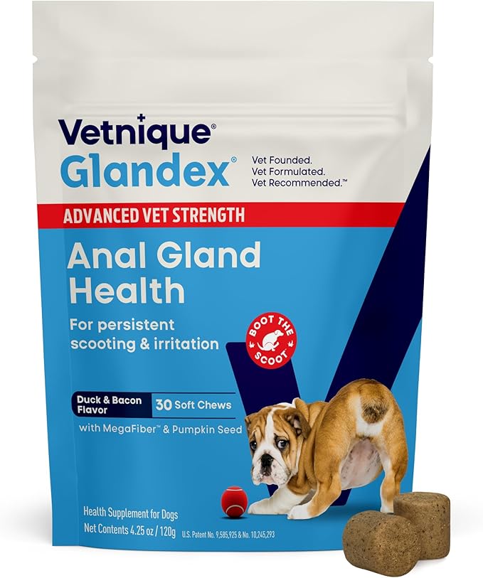 Glandex Anal Gland Health Soft Chew Treats with Pumpkin for Dogs Digestive Enzymes, Probiotics Fiber Supplement for Dogs Boot The Scoot (Advanced Strength Duck/Bacon, 30 Count)