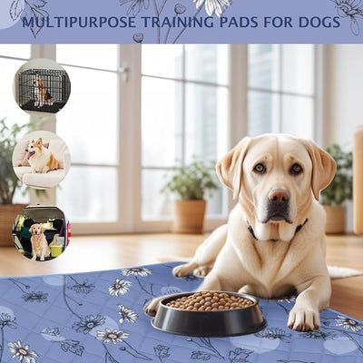 IEUUMLER Washable Pee Pads for Dogs, 2 Pack Non-Slip & Waterproof Pack Whelping Pad, Reusable Washable Puppy Potty Training Pad with Fast Absorbent for Playpen EU007 (Gray Blue Daisy, 36"X24"-2pcs)