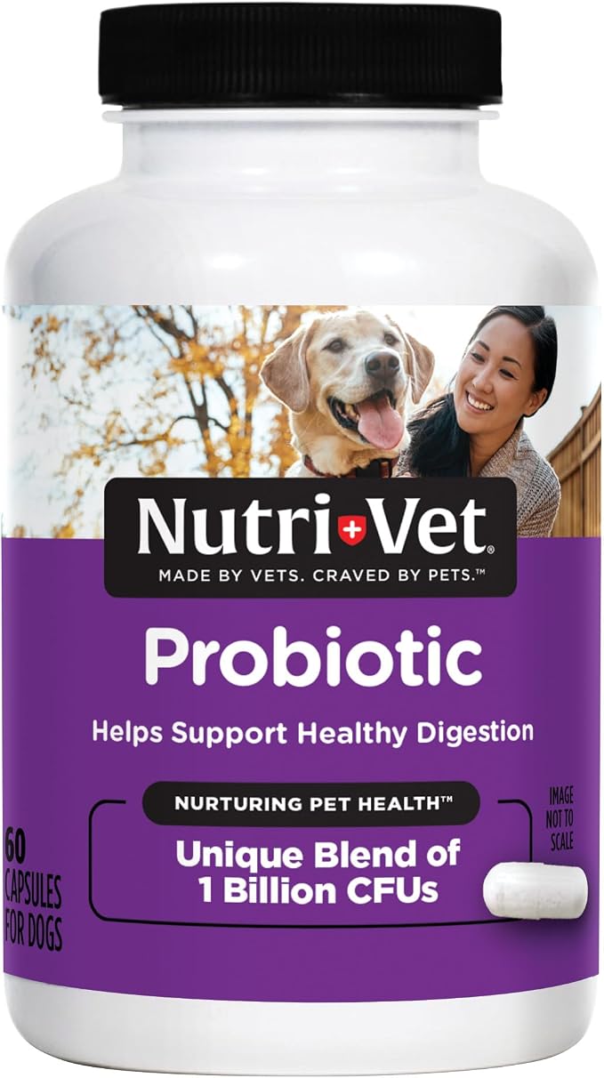Probiotics for Dogs, Dog Probiotics for Digestive Health, Puppy Probiotics, Promotes Healthy Immune System & Gut Health, Vet Formulated, Puppy Supplies, 60 Count Capsules
